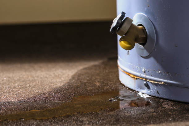 Best Professional water damage repair  in Glen Cove, NY
